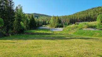 Deilig forsommervær, dog litt småruskete vind
