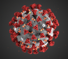 Koronavirus